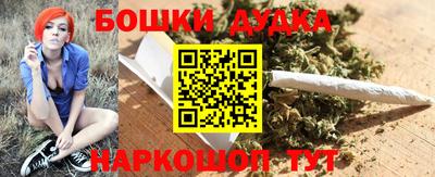 дживик Аша