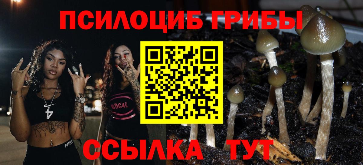 Галлюциногенные грибы Cubensis  купить закладку  Баксан  Вход с VPN 